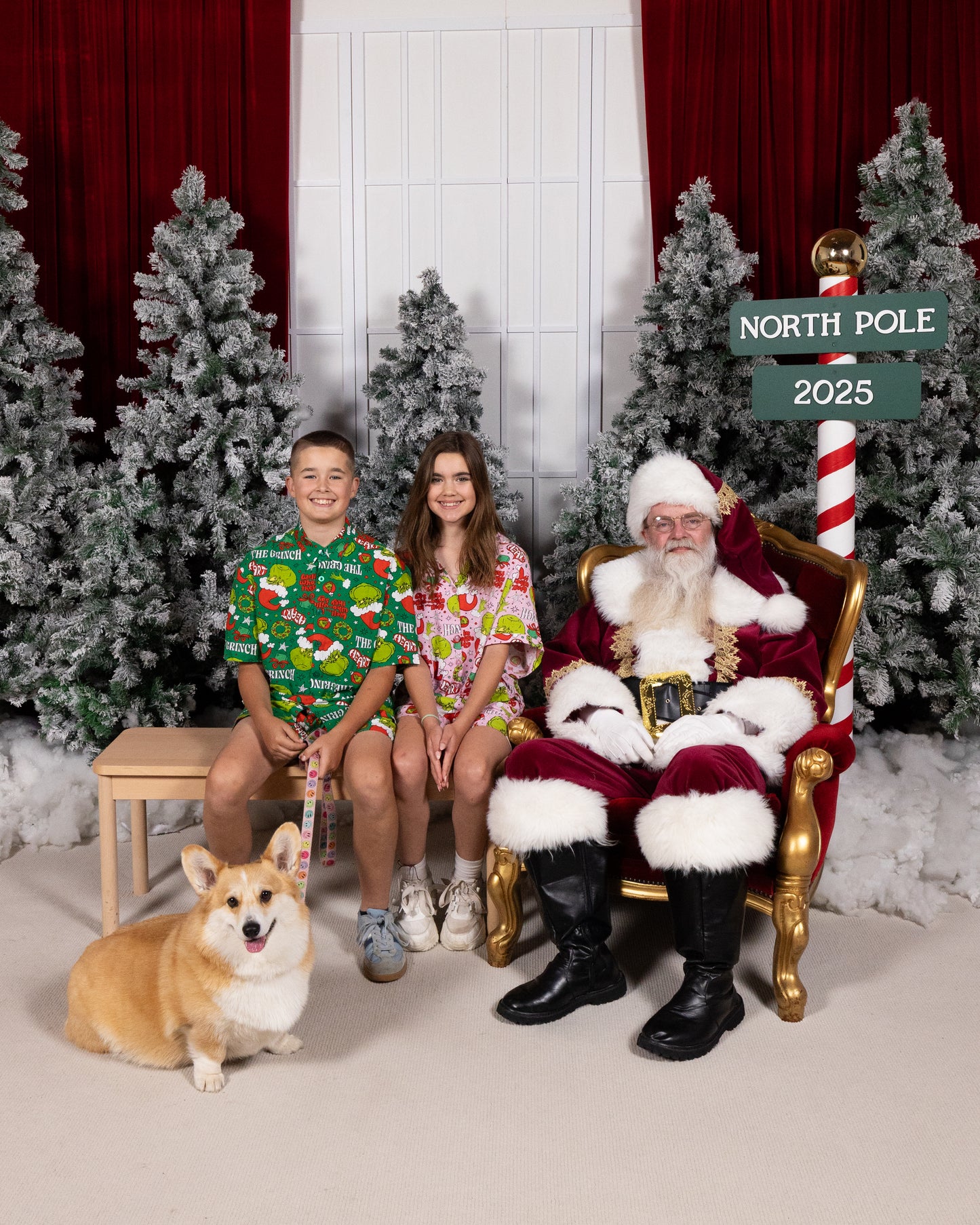 Ballarat Pet Santa Photo